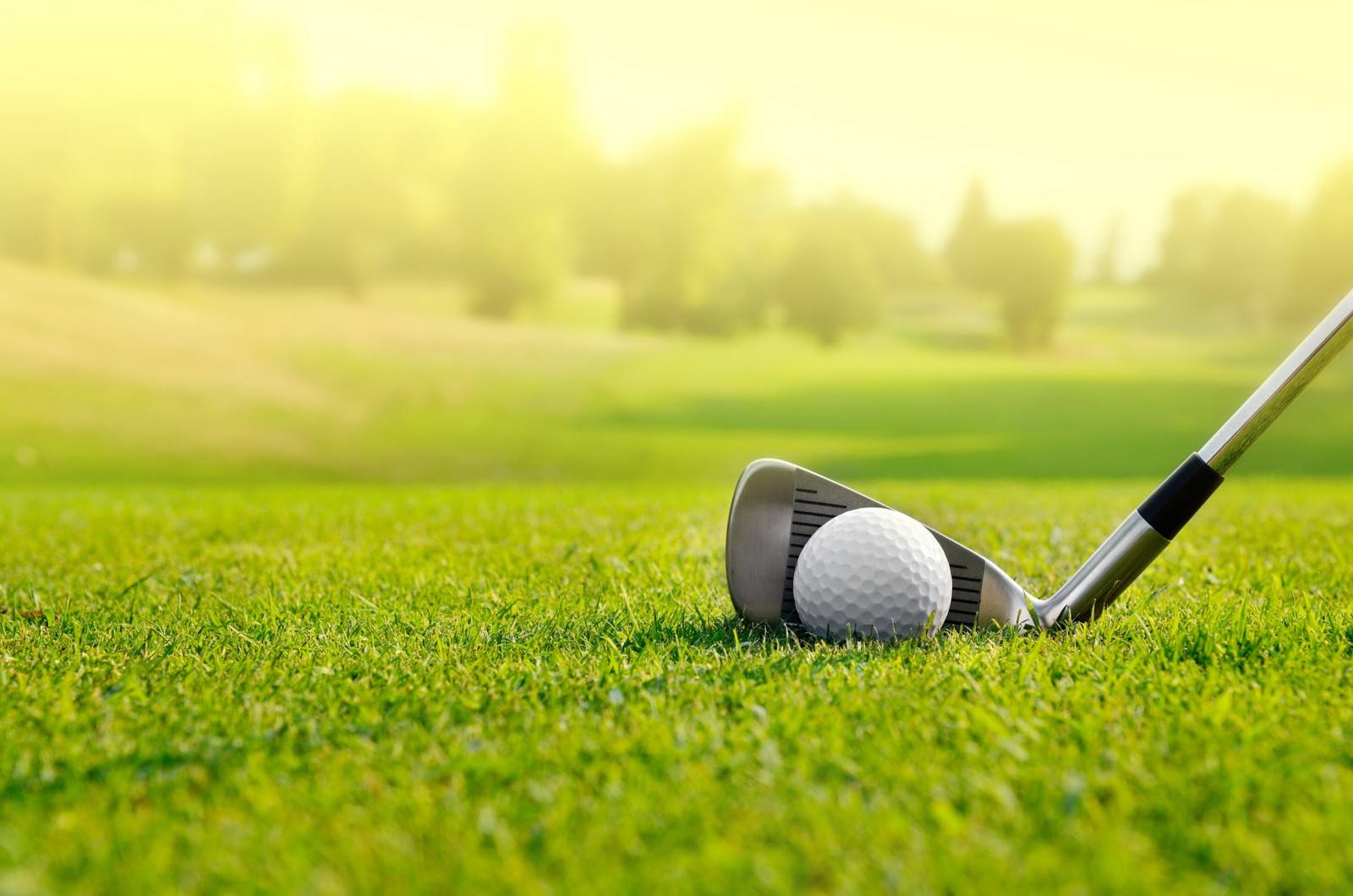 Gazons synthétiques pour jardins et sols sportifs