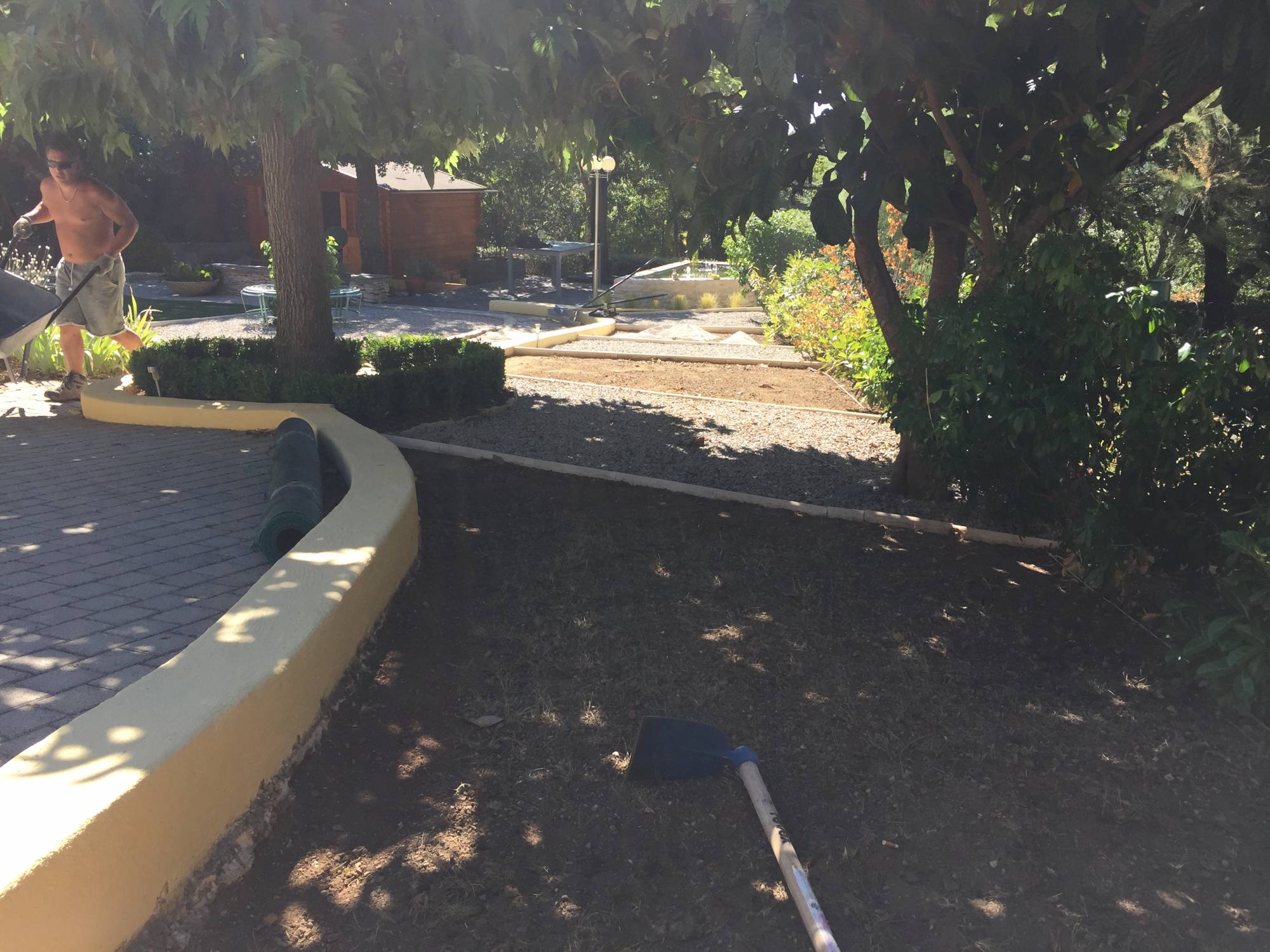 Gazon sans entretien Arles en Camargue