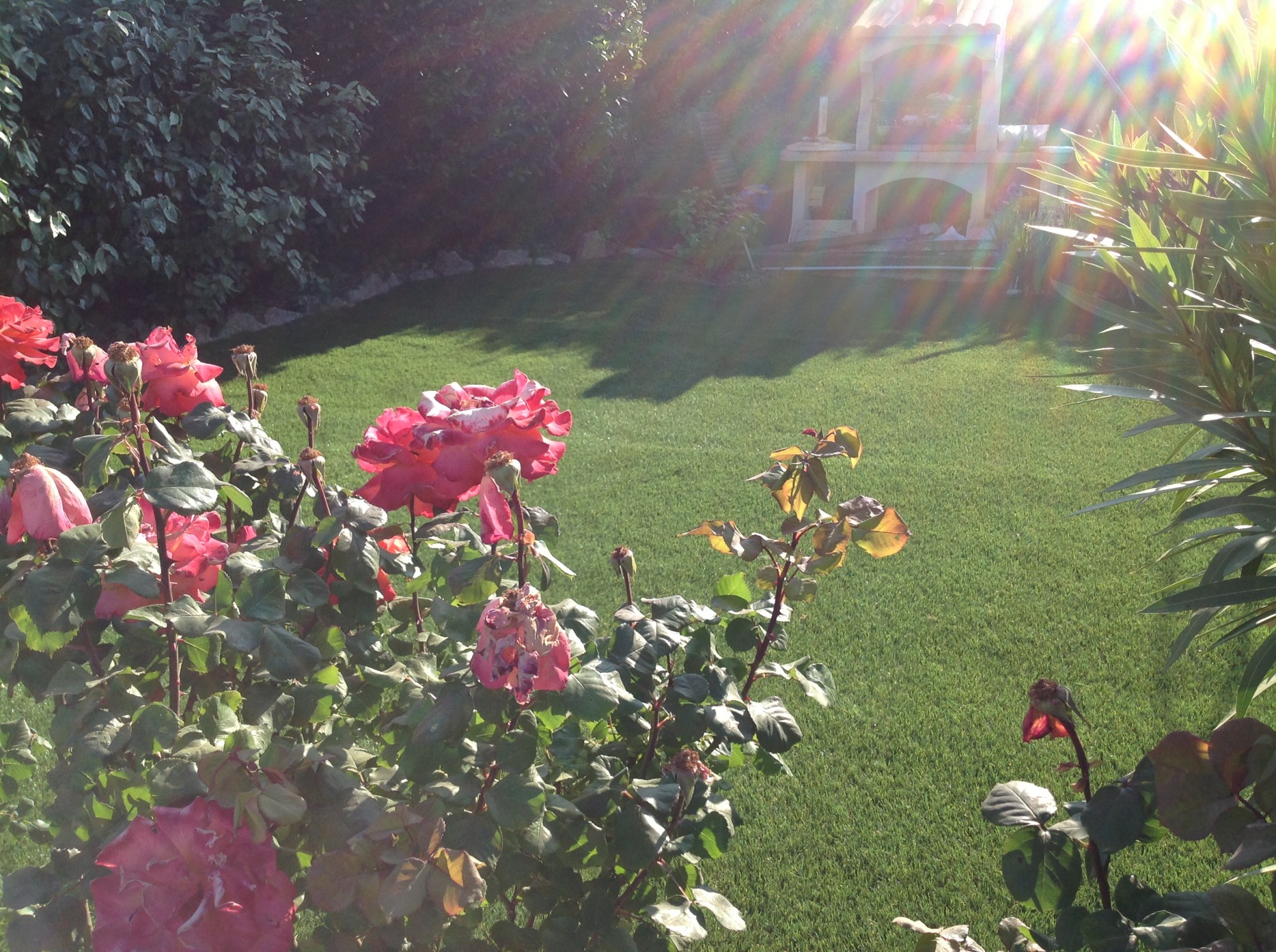 Vente et pose de pelouse artificielle Saint Maximin la Sainte Beaume (83470)