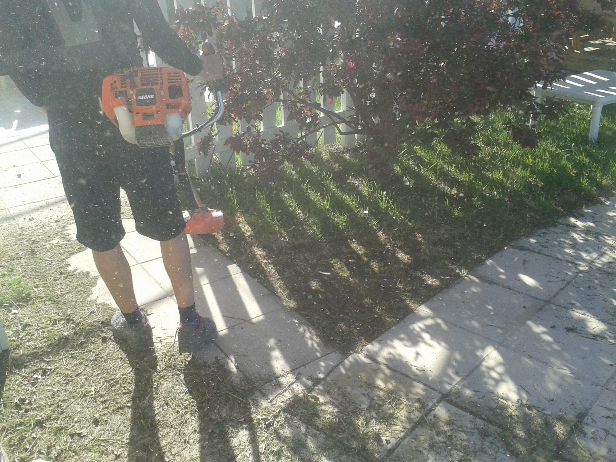 Débroussaillage de la surface