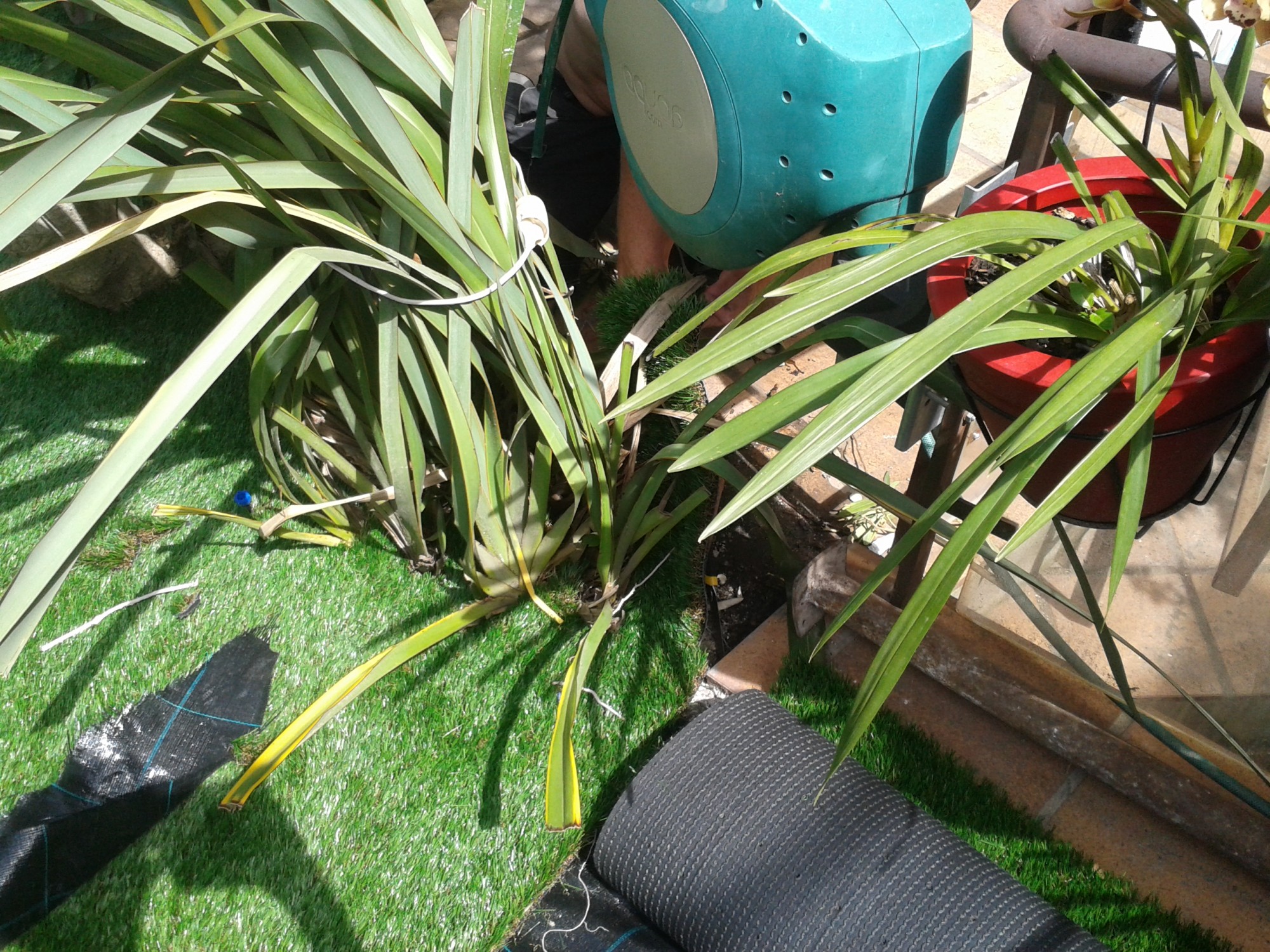 Construction d'un green synthétique à Cassis