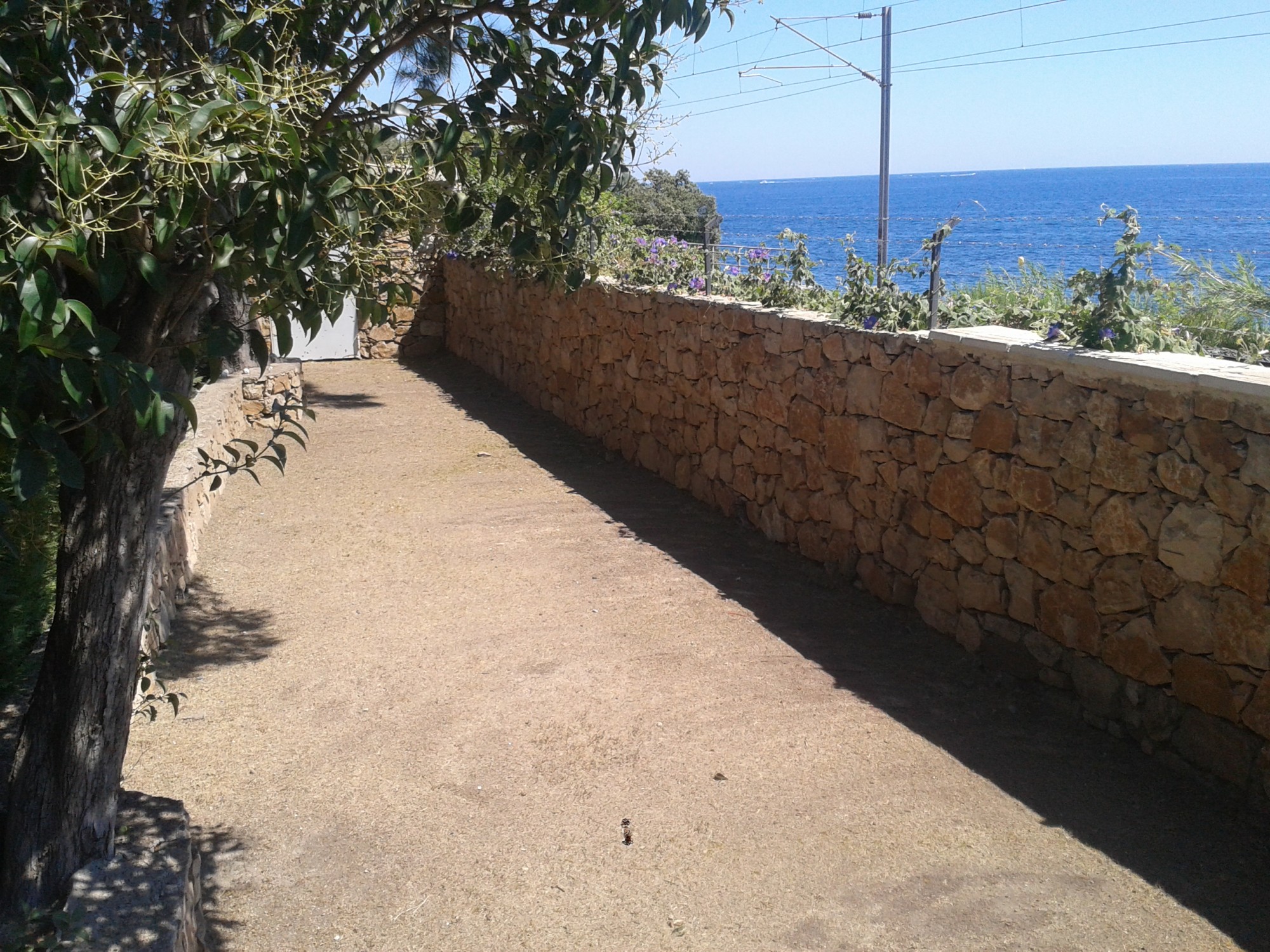 Préparation du sol avant l'installation d'un gazon artificiel à Cannes