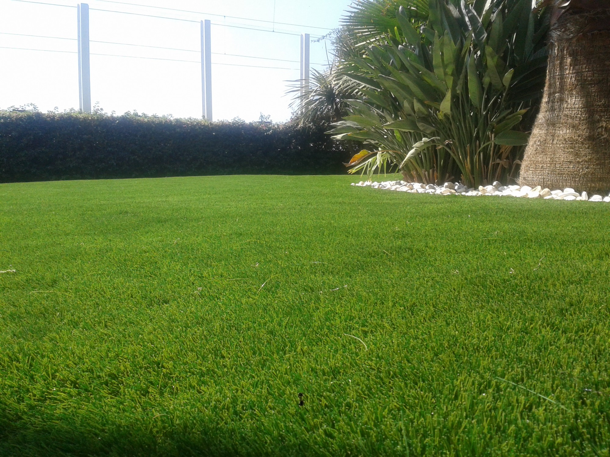 pose de gazon synthétique haut de gamme à cannes