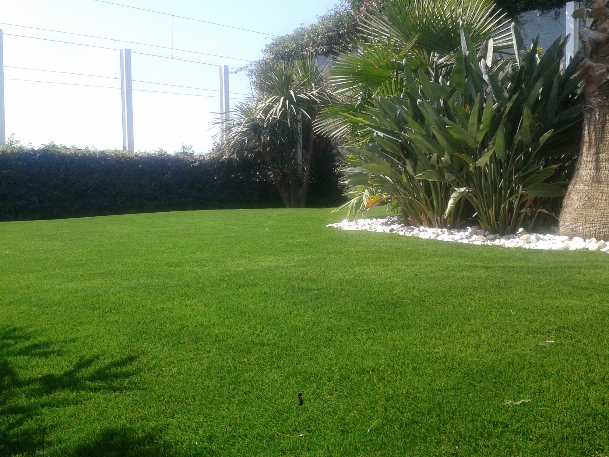 pose de gazon synthétique à Cannes