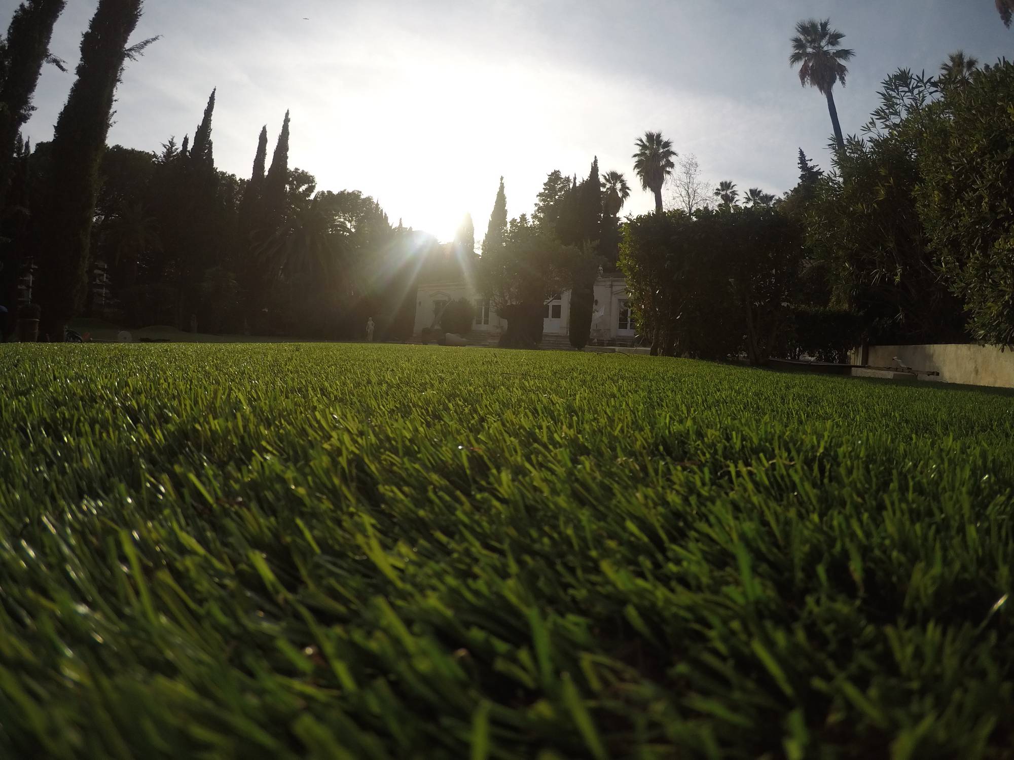 gazon artificiel à Chateauneuf le rouge