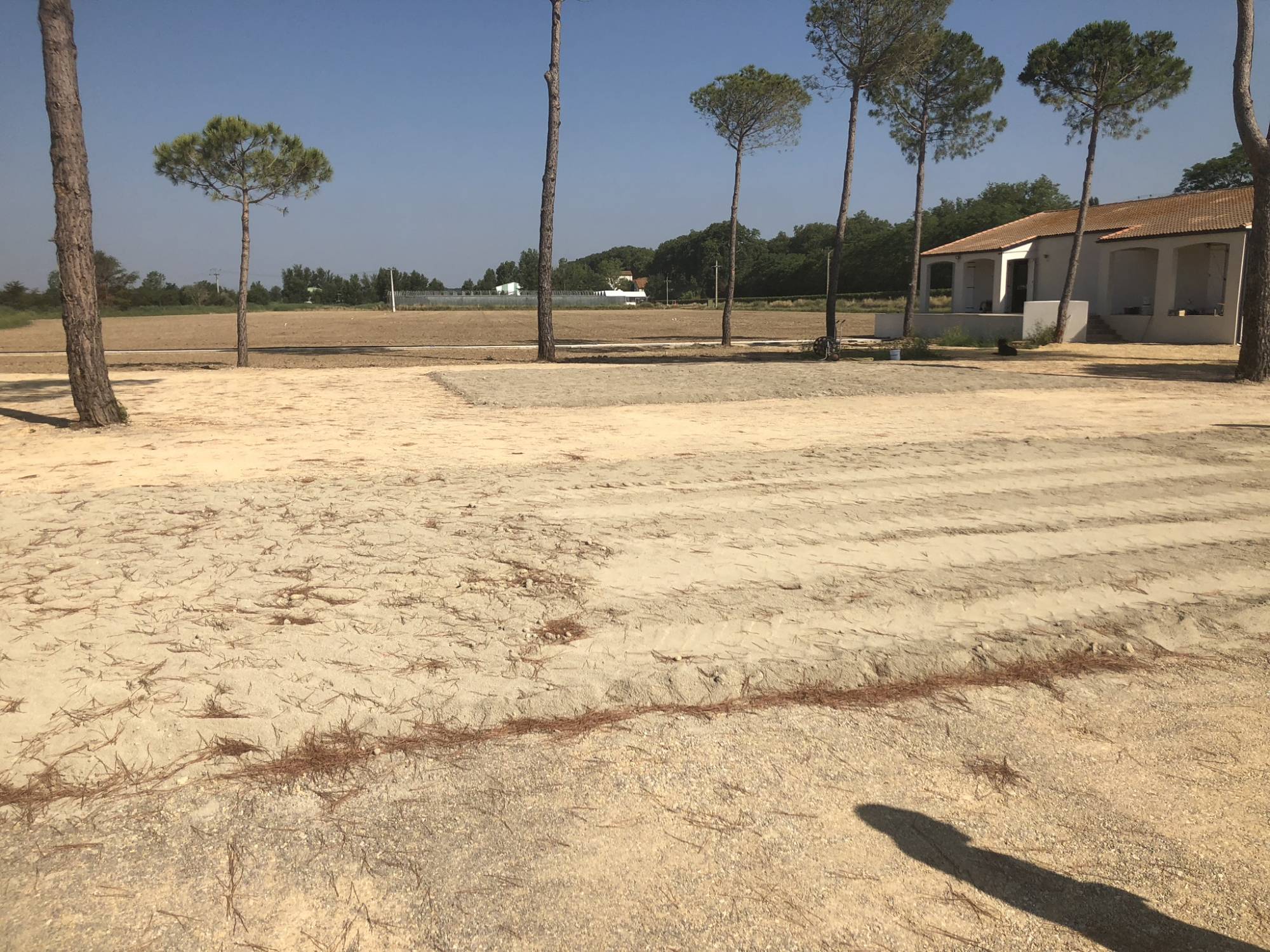 putting green synthétique