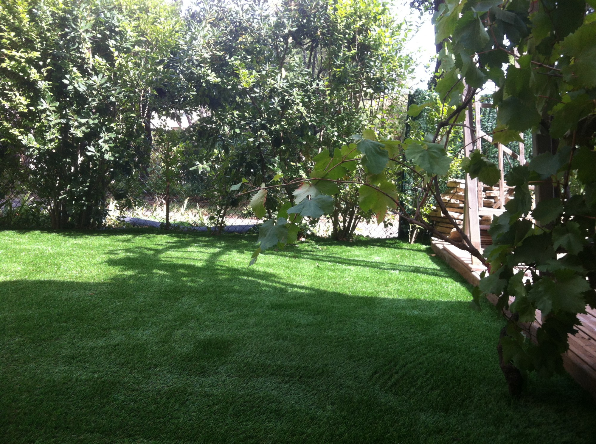 Prix du gazon hollandais au meilleur tarif