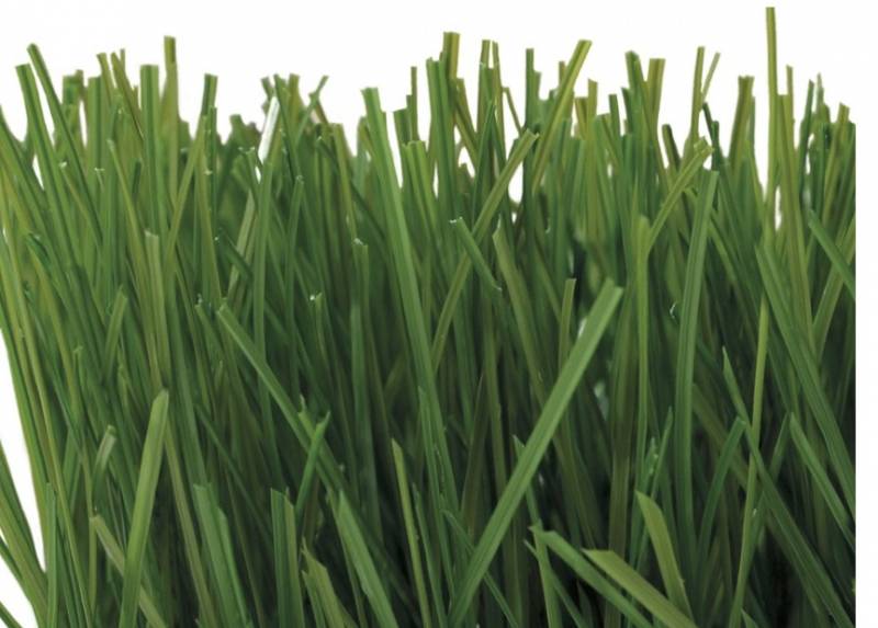 Gazon synthétique Energy C3N