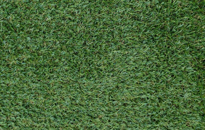 Le gazon synthétique est il écologique ?