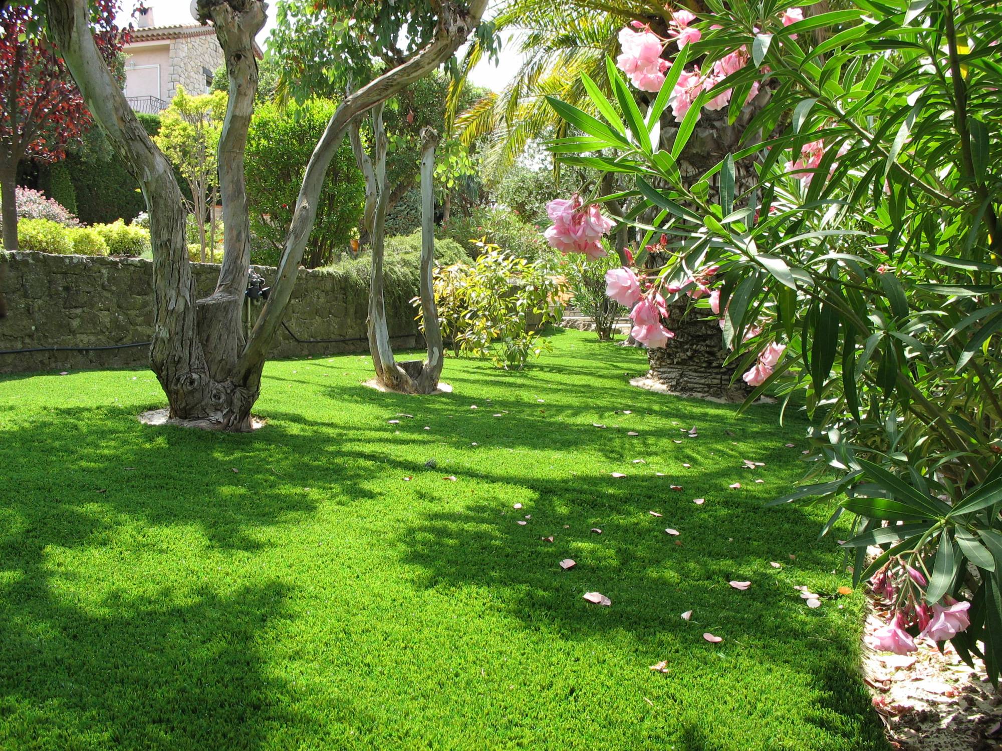 gazon artificiel Plan de Campagne