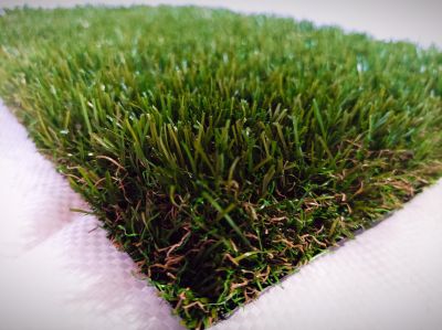 Nos prestations sur le secteur de Perpignan dans les Pyrénées Orientales (66)