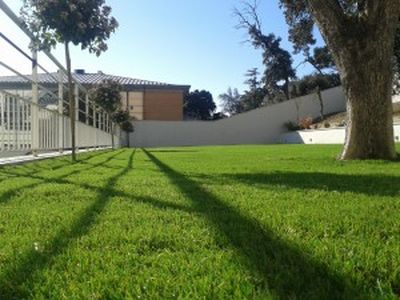 Notre zone d'activité pour ce service Acheter du gazon synthétique pas cher