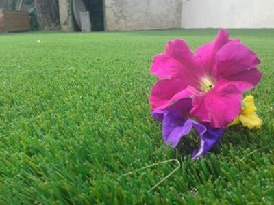 Nos prestations sur le secteur de www.universgazons.com