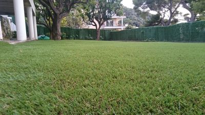 Nos prestations sur le secteur de Nice dans les Alpes Maritimes (06)