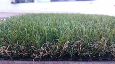 Nos prestations sur le secteur de Perpignan dans les Pyrénées Orientales (66)