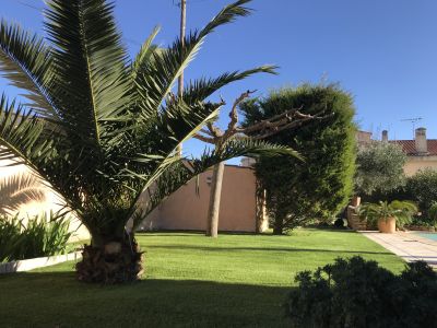 Nos prestations sur le secteur de Perpignan dans les Pyrénées Orientales (66)