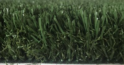 Nos prestations sur le secteur de Arles en Camargue