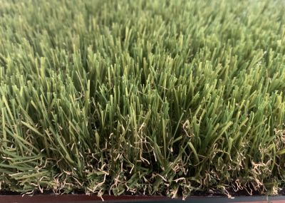 Nos prestations sur le secteur de Saint-Tropez (83)