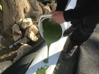 Nos prestations sur le secteur de Fréjus Saint-Raphaël