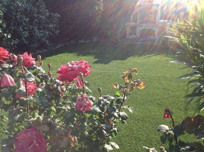 Nos prestations sur le secteur de Marseille dans les Bouches du Rhône