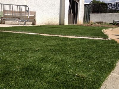 Nos prestations sur le secteur de Nice dans les Alpes Maritimes (06)