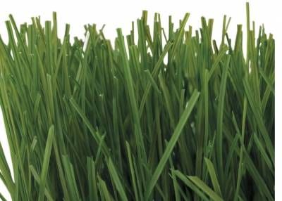 Notre zone d'activité pour ce service Gazon haut de gamme pour structure sportive