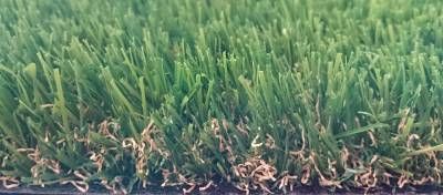 Notre zone d'activité pour ce service Gazon sans entretien