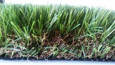 Nos prestations sur le secteur de Avignon dans le Vaucluse (84)