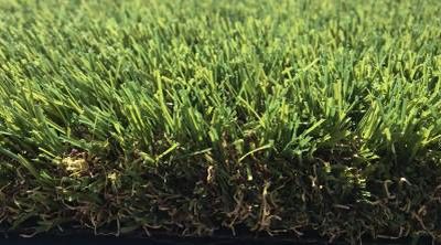 Nos prestations sur le secteur de Saint-Tropez (83)