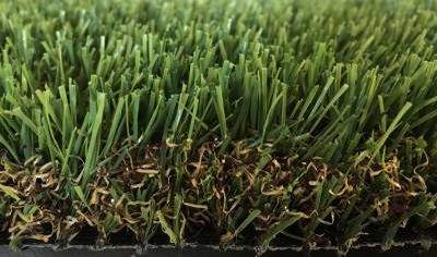 Notre zone d'activité pour ce service Gazon sans entretien