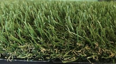 Nos prestations sur le secteur de Fréjus Saint-Raphaël