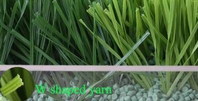 Nos prestations sur le secteur de Saint-Tropez (83)