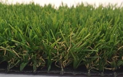 Nos prestations sur le secteur de Nice dans les Alpes Maritimes (06)