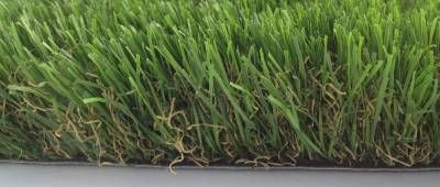 Nos prestations sur le secteur de Saint Maximin la Sainte Beaume (83470)