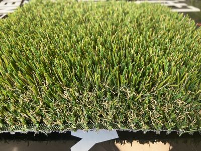 Nos prestations sur le secteur de Perpignan dans les Pyrénées Orientales (66)