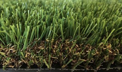 Nos prestations sur le secteur de Perpignan dans les Pyrénées Orientales (66)